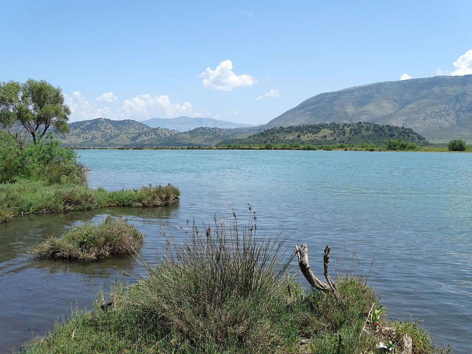Butrint National Park (Photo license: CC BY 2.0)